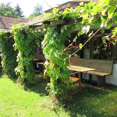 Schorfelder Hof Pensionat Gondershausen Exteriör bild